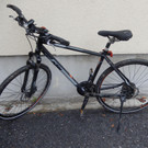 Fahrrad-Diebstahl in NÖ: Bilder