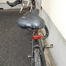 20181109 - Fahrrad 3.JPG