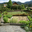 Satteins Metzler G .JPG