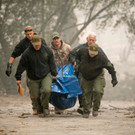 AFP_1AQ9Q1.jpg