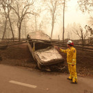 AFP_1AR012.jpg