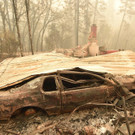 AFP_1AR015.jpg