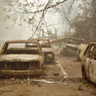 AFP_1AR00Y.jpg