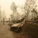 AFP_1AR00Z_1.jpg
