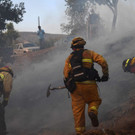 AFP_1AR008.jpg