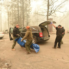 AFP_1AQ9P8.jpg