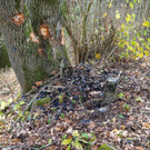 DSC00058.jpg