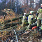 Bilder vom Einsatz