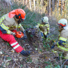 20181111unfalluebersaxen-005.jpg
