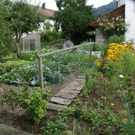 Satteins Tschann G  _2_.JPG