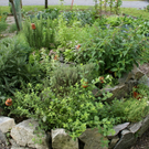 Satteins Tschann G  _3_.JPG