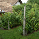 Satteins Tschann G  _8_.JPG