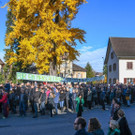 foto-lerch-111118001-5.jpg