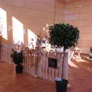 DSCI0375.JPG