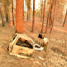 Meldungsliste_28__9.jpg