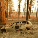 AFP_1AR9L8.jpg