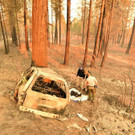 AFP_1AR9L2.jpg