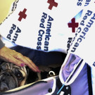 California_Wildfires_49181.jpg