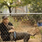 California_Wildfires_86615.jpg