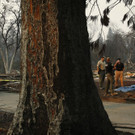 California_Wildfires_14041.jpg