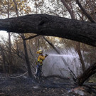 California_Wildfires_00158.jpg