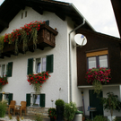 Schnifis Stark G  _2_.JPG