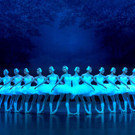 1_ GrossteSchwanenseeDerWelt_FTGR_ Jasper Gasia.jpg