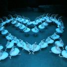 4_ SHANGHAI BALLET Grootste Zwanenmeer - Foto Stardust - 3631-PB1.jpg