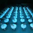 2_ SHANGHAI BALLET Grootste Zwanenmeer - Foto Stardust - 3623-PB1.jpg