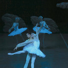 8_ PB-SHANGHAI BALLET Swan Lake Act 2 - 150214 Foto Stardust - 0D8A2844.jpg