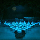 5_ SHANGHAI BALLET Grootste Zwanenmeer - 150215 Foto Stardust jpg.jpg