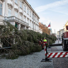 Christbaum am Mirabellplatz aufgestellt