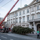 20181112_fmt_christbaum_Mirabell_mw-8.jpg
