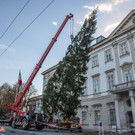 20181112_fmt_christbaum_Mirabell_mw-12.jpg