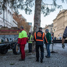 20181112_fmt_christbaum_Mirabell_mw-15.jpg