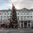 20181112_fmt_christbaum_Mirabell_mw-18.jpg