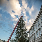 20181112_fmt_christbaum_Mirabell_mw-20.jpg
