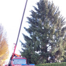 20181113fmt_xmasbaum_ta_1.jpg