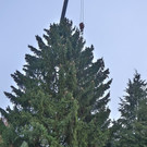 20181113fmt_baumobenrdorf_ta_003.JPG