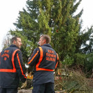 20181113fmt_baumobenrdorf_ta_006.JPG