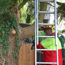 20181113fmt_baumobenrdorf_ta_008.JPG