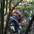 20181113fmt_baumobenrdorf_ta_012.JPG