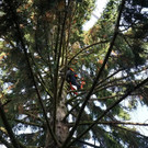20181113fmt_baumobenrdorf_ta_013.JPG