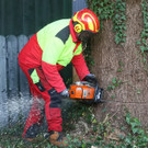 20181113fmt_baumobenrdorf_ta_014.JPG