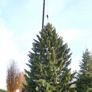 20181113fmt_baumobenrdorf_ta_019.JPG