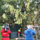20181113fmt_baumobenrdorf_ta_020.JPG