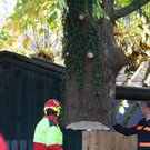 20181113fmt_baumobenrdorf_ta_023.JPG