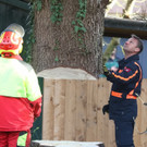 20181113fmt_baumobenrdorf_ta_024.JPG