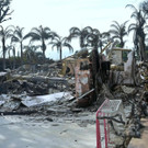 AFP_1AT7OR.jpg