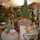 Adventausstellung Eröffnung bei Rosen Waibel in Mäder
